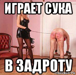 играет сука в задроту