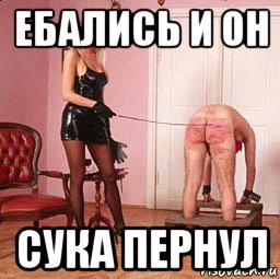 ебались и он сука пернул