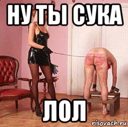 ну ты сука лол