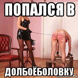 попался в долбоёболовку