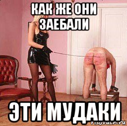 как же они заебали эти мудаки