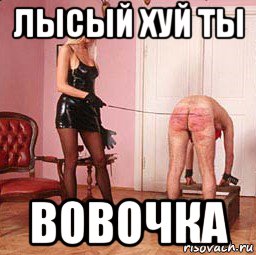 лысый хуй ты вовочка