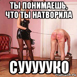 ты понимаешь, что ты натворила суууууко, Мем Я мусор не вынес