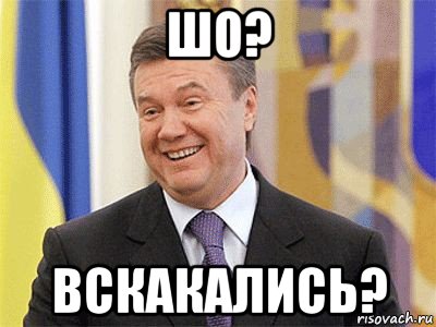 шо? вскакались?, Мем Янукович