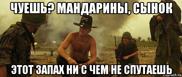 чуешь? мандарины, сынок этот запах ни с чем не спутаешь