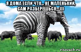 я дома если что... не маленький, сам разберёшься....))) , Мем Зебролон