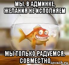 мы, в админке, желания не исполняем мы только радуемся. совместно, Мем Золотая рыбка