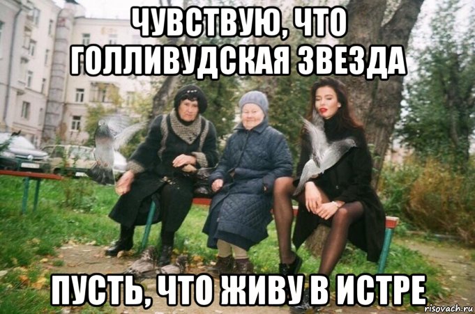 чувствую, что голливудская звезда пусть, что живу в истре, Мем Звезда