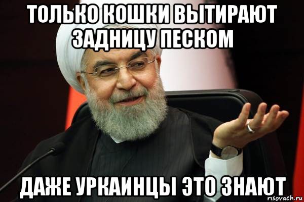 только кошки вытирают задницу песком даже уркаинцы это знают, Мем 
