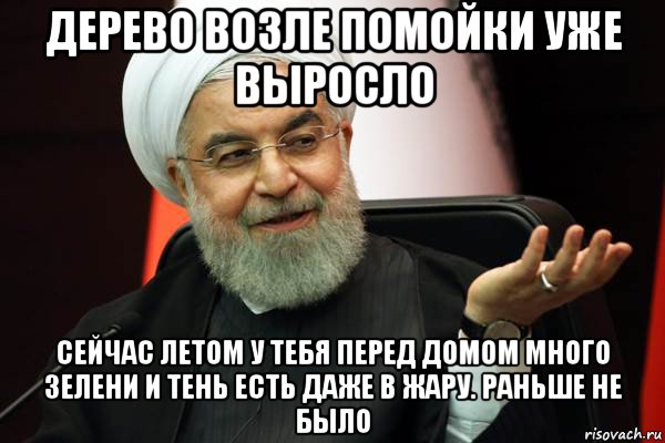 дерево возле помойки уже выросло сейчас летом у тебя перед домом много зелени и тень есть даже в жару. раньше не было