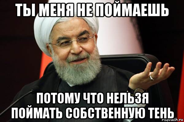 ты меня не поймаешь потому что нельзя поймать собственную тень, Мем 