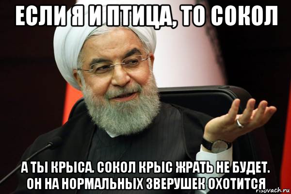 если я и птица, то сокол а ты крыса. сокол крыс жрать не будет. он на нормальных зверушек охотится