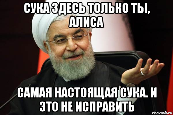 сука здесь только ты, алиса самая настоящая сука. и это не исправить, Мем 