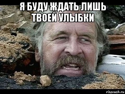 я буду ждать лишь твоей улыбки , Мем Александр Маслаев