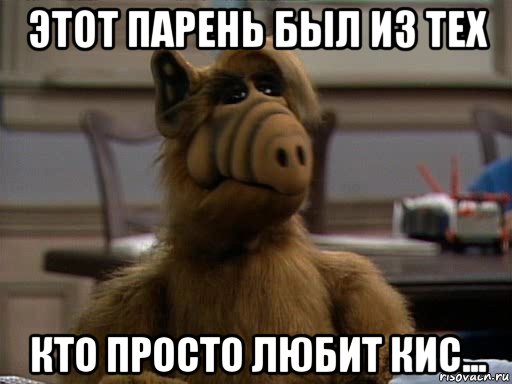этот парень был из тех кто просто любит кис..., Мем Альф