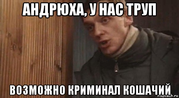 андрюха, у нас труп возможно криминал кошачий