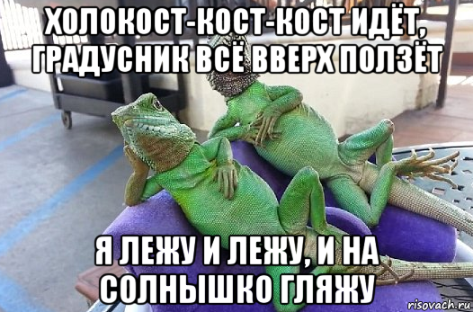 холокост-кост-кост идёт, градусник всё вверх ползёт я лежу и лежу, и на солнышко гляжу