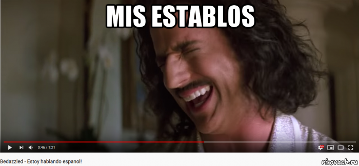 mis establos , Мем Bedazzled - Mis Establos - AHAHAHA