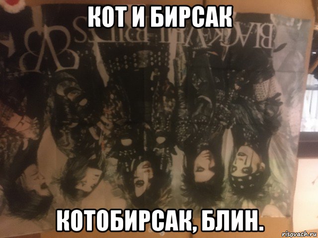 кот и бирсак котобирсак, блин., Мем Black Veil Brides
