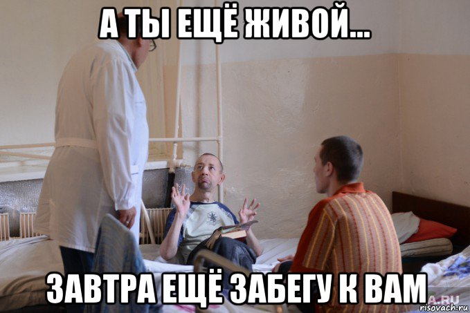 а ты ещё живой... завтра ещё забегу к вам, Мем Больничка