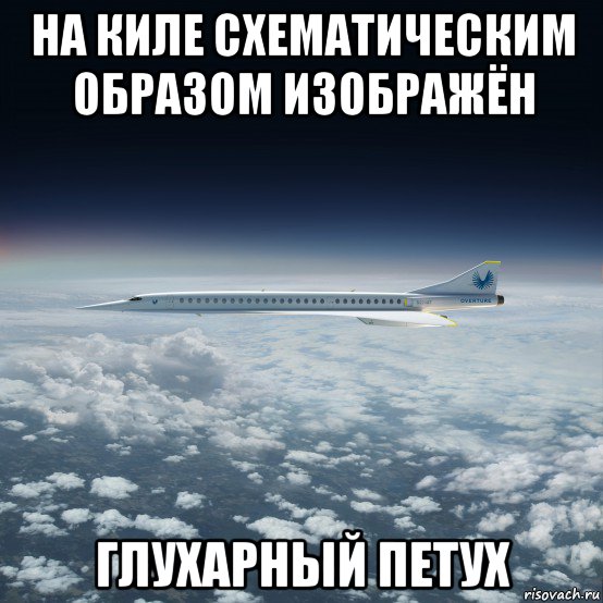 на киле схематическим образом изображён глухарный петух, Мем Boom Technology Overture