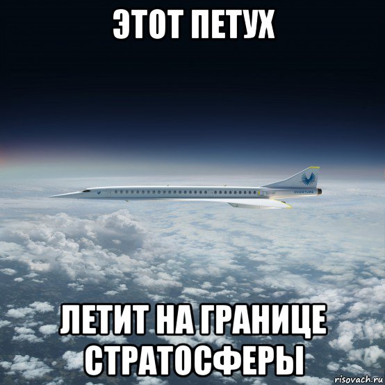 этот петух летит на границе стратосферы, Мем Boom Technology Overture