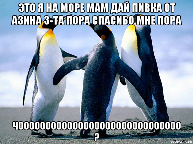 это я на море мам дай пивка от азина 3-та пора спасибо мне пора чоооооооооооооооооооооооооооооо ?