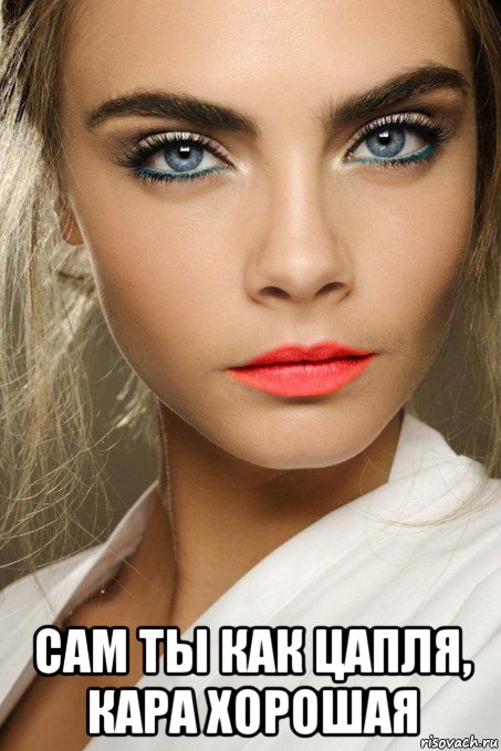  сам ты как цапля, кара хорошая, Мем Cara Delevingne