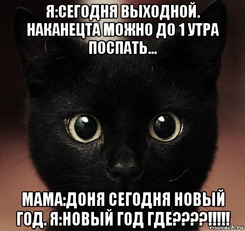 я:сегодня выходной. наканецта можно до 1 утра поспать... мама:доня сегодня новый год. я:новый год где????!!!!!