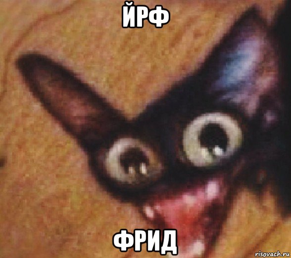 йрф фрид