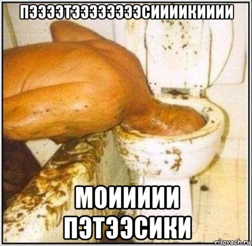 пээээтээээээээсиииикииии моиииии пэтээсики, Мем Дайвер