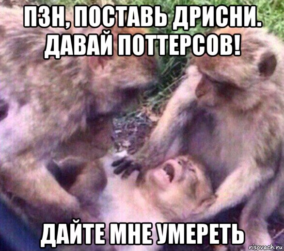 пзн, поставь дрисни. давай поттерсов! дайте мне умереть
