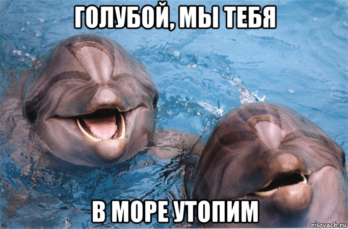 голубой, мы тебя в море утопим