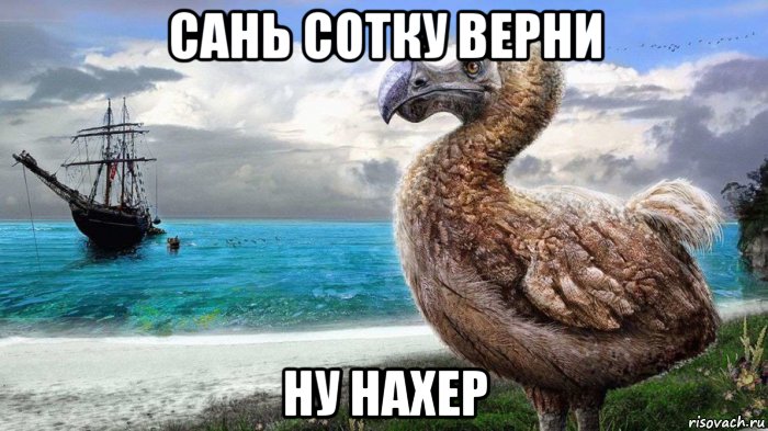 сань сотку верни ну нахер, Мем Додо короблям