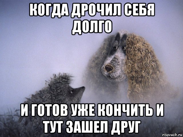 когда дрочил себя долго и готов уже кончить и тут зашел друг, Мем ДРОЧЕР