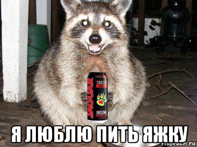  я люблю пить яжку, Мем Енот