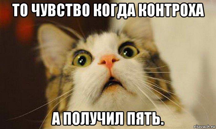 то чувство когда контроха а получил пять.
