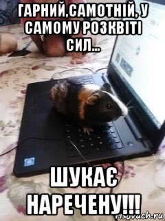 гарний,самотній, у самому розквіті сил... шукає наречену!!!, Мем Гарний нежонатий