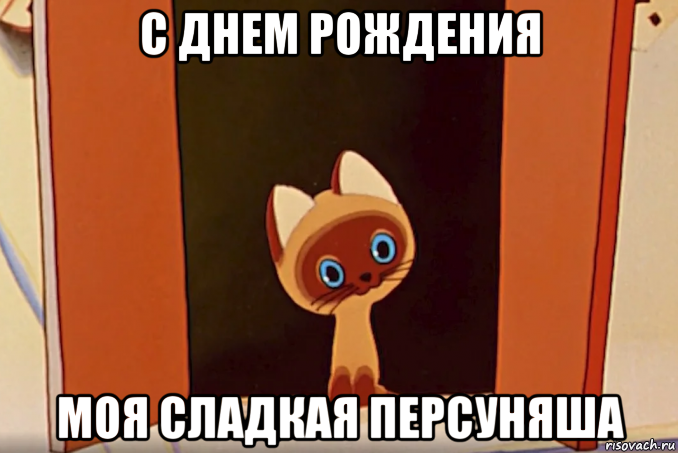 с днем рождения моя сладкая персуняша, Мем Gav