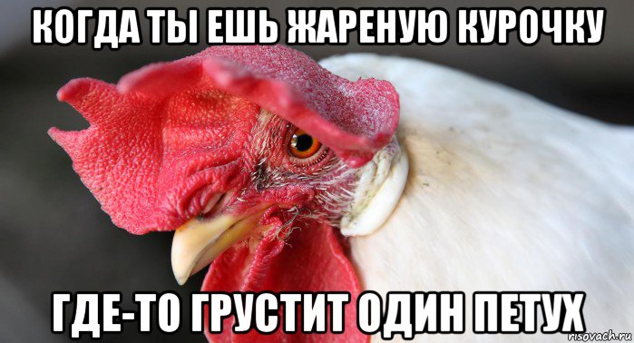 когда ты ешь жареную курочку где-то грустит один петух