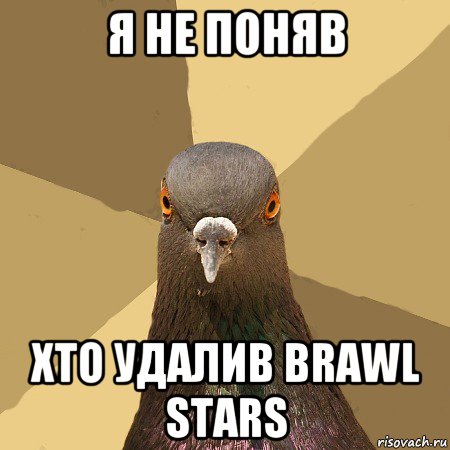 я не поняв хто удалив brawl stars, Мем голубь