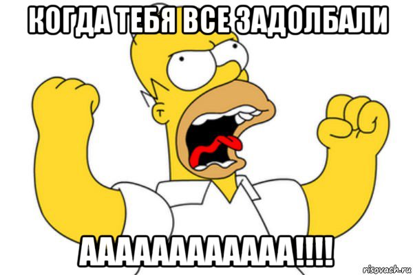 Homer 35 Телец Армавир Знакомства