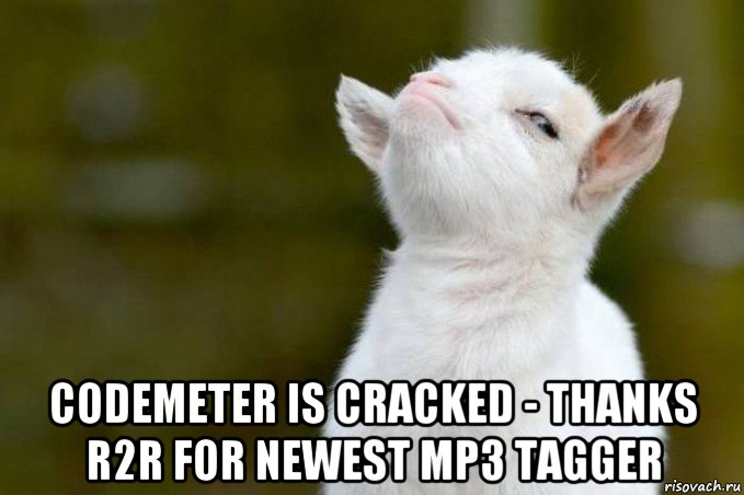  codemeter is cracked - thanks r2r for newest mp3 tagger, Мем  Гордый козленок