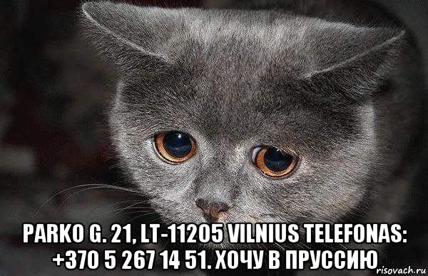  parko g. 21, lt-11205 vilnius telefonas: +370 5 267 14 51. хочу в пруссию, Мем  Грустный кот
