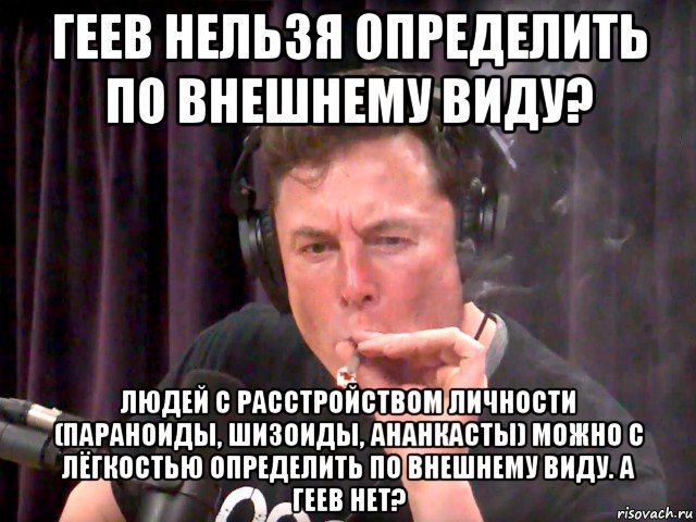 геев нельзя определить по внешнему виду? людей с расстройством личности (параноиды, шизоиды, ананкасты) можно с лёгкостью определить по внешнему виду. а геев нет?, Мем Илон маск трава