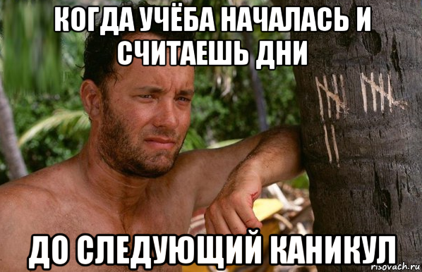 когда учёба началась и считаешь дни до следующий каникул
