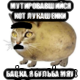 мутировавшийся кот лукашенки бацка, я бульба мяу, Мем Картофе-Лукашенко-Кот