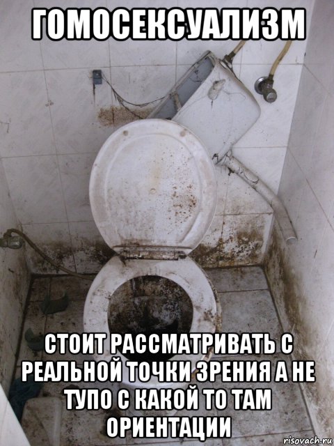 гомосексуализм стоит рассматривать с реальной точки зрения а не тупо с какой то там ориентации, Мем Кишка