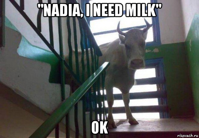 "nadia, i need milk" ok