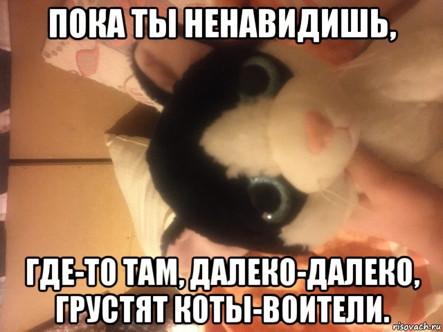 пока ты ненавидишь, где-то там, далеко-далеко, грустят коты-воители., Мем Кошечка